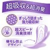 Whisper Thin and Safe 2.8 fl oz (80 cc), 10.6 inches (27 cm), 20 Pieces (Women's Absorbent Care, Urine Leak Pad) (For Medium Volumes)