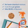 Lysol Kitchen Pro Antibacterial Cleaner Trigger 22 oz (Pack of 3)