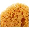 CROLL & DENECKE P180 Natural Sponge Sea Sponge Hand Refined from the Sea, 18 cm, Natural, Pack of 1