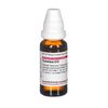 DHU Tarantula D12 Dilution, 20 ml Lösung