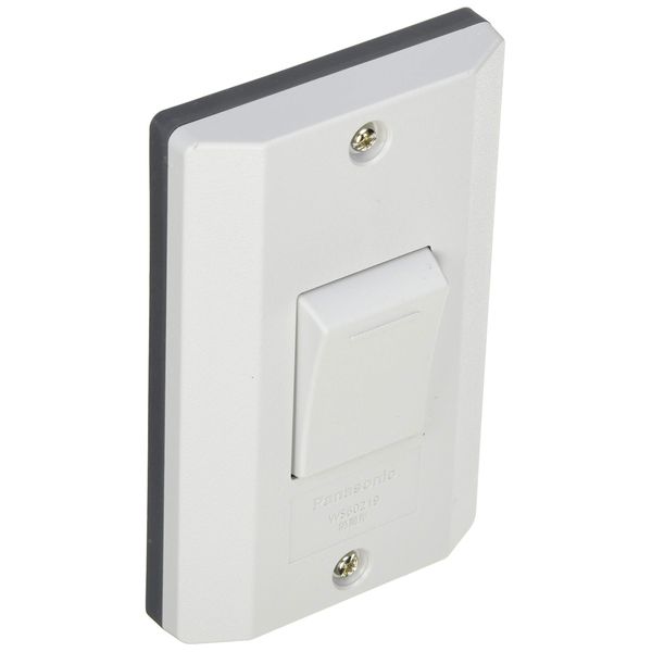 Panasonic WS60219H Waterproof Embedded Switch B, Single Slit, Light Gray, 15A300V
