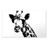 CafePress The Shady Giraffe Sticker Rectangle Bumper Sticker Car Decal