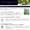 Peppermint Lavender 30ml Aroma Blend Incent Essential Oil 30ml