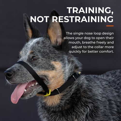 Canny Collar No Pull Dog Head Collar, Lead Training Head Harness, Dog Collar that stops pulling - Easy to fit, simple to use, kind, safe, comfortable