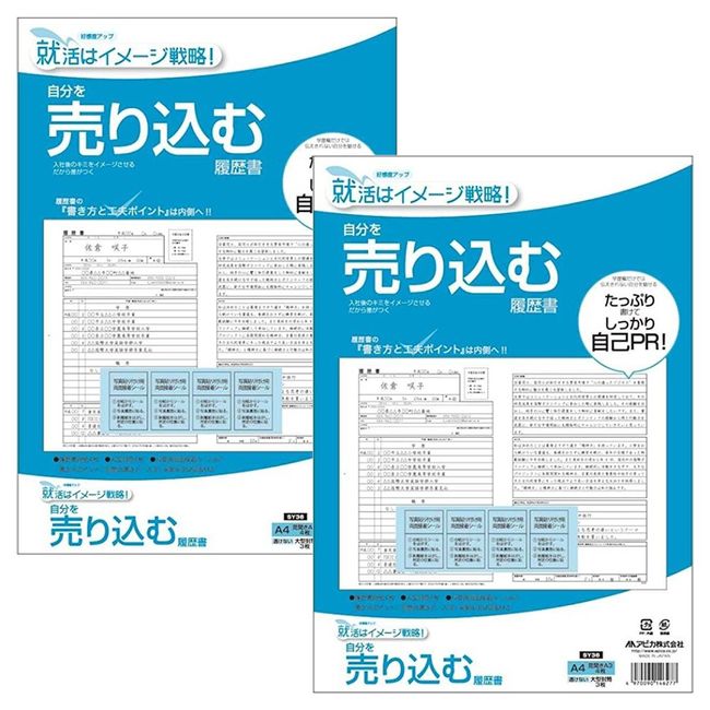 apika Pitch Yourself Resume A4 (Two-Page Spread A3), 4 Piece, Security Tinted Envelope 3 Piece SY36 Set of 2