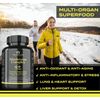 Mushroom Complex Supplement Capsules 10 Mushrooms for Brain, Energy, Immunity