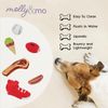 Molly & Mo Squeaky Dog Chew Toy Set (Basketball)