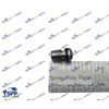 BINKS AIR CHECK VALVE ASSY (336394)