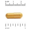 Turmeric Extract with BioPerine, 800 mg, 60 Veggie Capsules