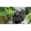 SLグラフィティ 今を駆ける日本の蒸気機関車[DVD]