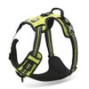 SGODA No Pull Dog Harness with Handle Reflective, Small, Green