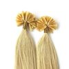 ALISY Human Hair NAIL U TIP Tip Extensions, Remy Extensions, Color Wig, Set of 50 (16 Inches, 60#)