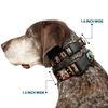 Buckle-Down Plastic Clip Collar - Saint Blocks - 1" Wide - Fits 11-17" Neck - Medium