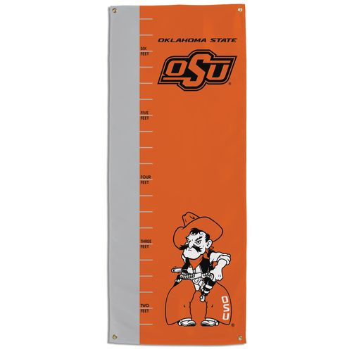 NASCAR Ryan Newman #39 Wind Sock