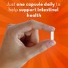 Align Probiotic Supplement 42 Caps