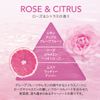 SIRTFL CC Shampoo & Treatment Refill, 10.2 fl oz (320 ml) Each, Moist Set, Rose & Citrus Scent, Sartful Retinol, Vitamin C, Squalane, Vitamin E, Moisturizing Refill
