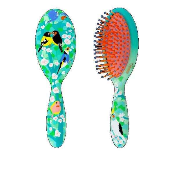 Pylônes Ladypop PM Birds Multicolor Rubber Hair Brush Portable Comfortable for Travel All College Teens Travelers Style Conscious People Women