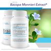 Unbreakable Brain Pro - Our Best Brain Support Supplement - Premium Brain Memory