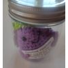 Motivational Emotional Support Penguin Or Vegetable Gift Set Jar