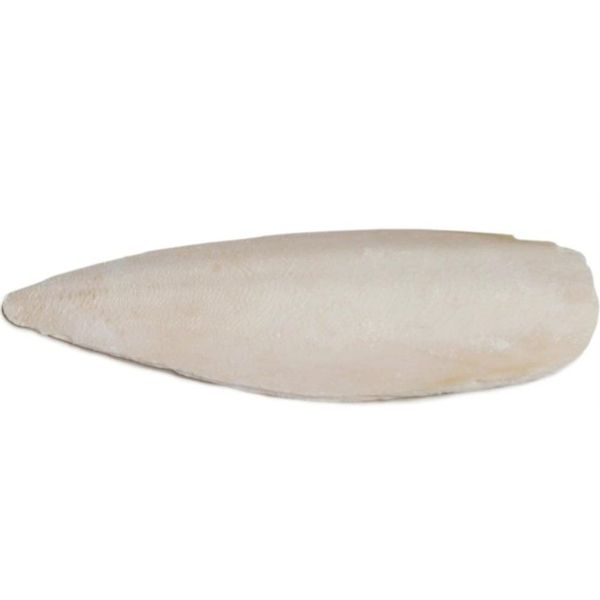 Prevue Pet 4" Bulk Cuttlebone/25 per Box with Holder - IP1148