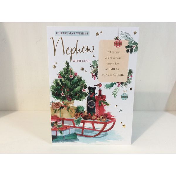 Nephew Christmas card
