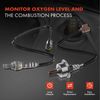 2x Upstream & Downstream Front O2 Oxygen Sensor for Nissan Maxima Quest Murano