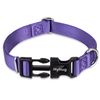 Hyhug Design Classic Basic Nylon Dog Collar, Can Install Dog Tag (Large, Ultra Violet)
