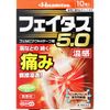 [2nd-Class OTC Drug] Faitas 5.0 Warm Sensation 10 Sheets *Product subject to self-medication tax system