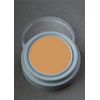 Skin Tone Complexion B2 Professional Grease Paint Creme Make-Up 2.5ml