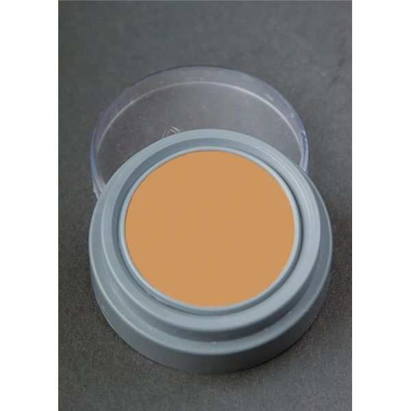 Skin Tone Complexion B2 Professional Grease Paint Creme Make-Up 2.5ml