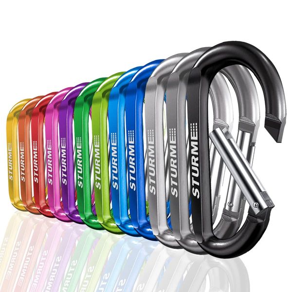 3" Aluminum D Ring Carabiners Clip D Shape Spring Loaded Gate Small Keychain Carabiner Clip Set for Outdoor Camping Mini Lock Snap Hooks Spring Link Key Chain Durable Improved 12 PCS (Assorted)