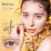 WEB Borica   102 