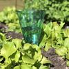 Tildenet Rain Gauge