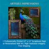 Birds - Elegant Peacock Personalized Wall Art or Scrapbook Page