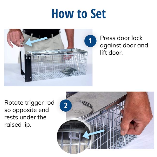 Professional Chipmunk / Rat Galvanized Metal Live Animal Traps