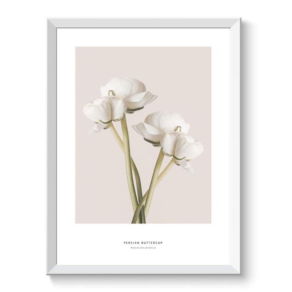 Poster Art Poster A3 Scandinavian Flowers Trees Plants Ranunculus Stylish Interior Black and White No Frame (A3 Size (297 mm x 420 mm) Poster Only) 034_A3