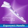 BrightWorks Denture Brush, Dual-Action Brush Heads, (Pack of 3)