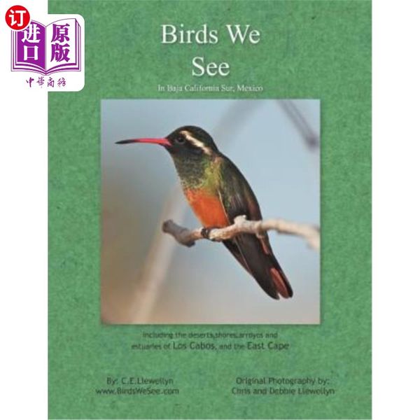 海外直订Birds We See 我们看到的鸟