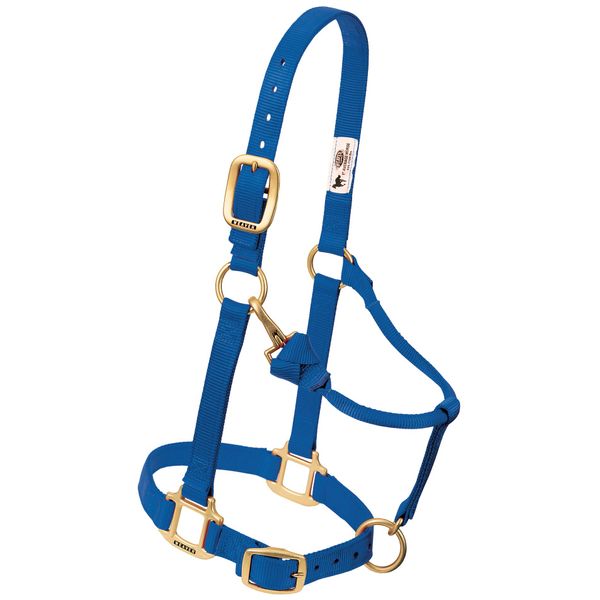 Weaver Leather Nylon Adjustable Draft Horse Halter, 1", Average, Blue