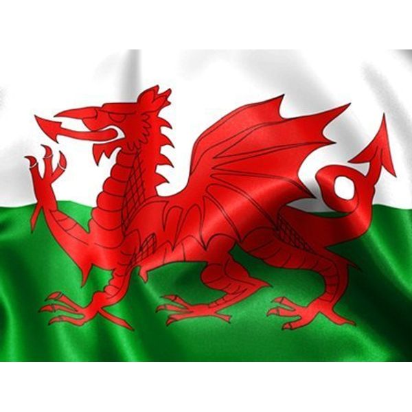 2X5Ft X 3Ft Wales Welsh Flag With Eyelets Red Dragon