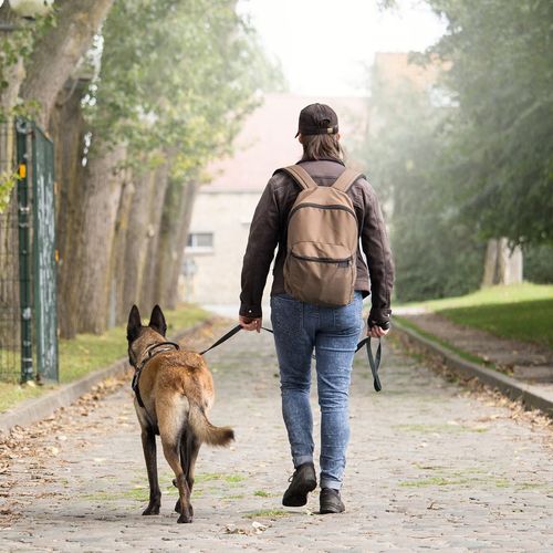 Lynxking Heavy Duty Dog Leash - 6ft Reflective Safety Walking Lead With 2 Padded Handles for Small to Large Dogs