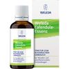 Calendula Essence 20% 100 ml