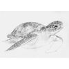 CafePress Honu Ornament Scroll Ornament 4" x 2.75"