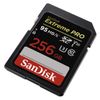 SanDisk Extreme Pro SDHC/SDXC UHS-I U3, V30 Compatible, International Packaging