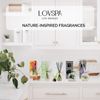 LOVSPA Vanilla & Patchouli Reed Diffuser Set - Essential Oil Scent Diffuser for Home - Non-Toxic Oil Reed Diffuser - Made in The USA
