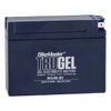 BikeMaster 780549 TruGel Battery