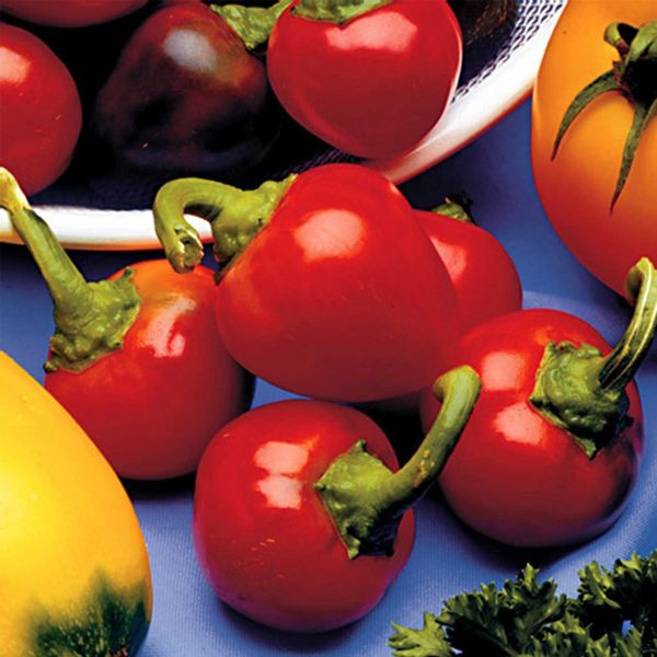 Red Cherry Sweet Pepper Garden Seeds - .25 oz - Non-GMO, Heirloom - Small Red Bell Peppers for Pickling or Salad - Vegetable Gardening Seed