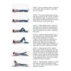CUSHION, CHIROPRACTIC CUSHION, PELVIC, SCIATICPAIN, HEMORRHOIDAL PAIN RELIEVING