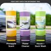 Sun Joe 3 Pack Pressure Washer Concentrate Formula, Biodegradable Detergent Trio