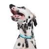 "Now House for Pets by Jonathan Adler Green ""Chromatic"" Collar - Medium"
